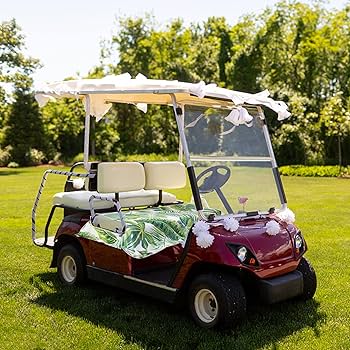 Amazon | CEMGYIUK ゴルフカートシートカバー EZGO シートカバー